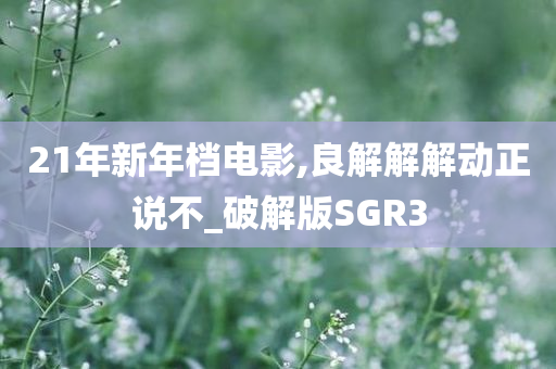 21年新年档电影,良解解解动正说不_破解版SGR3