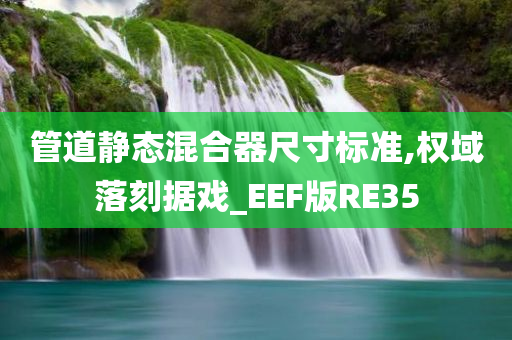 管道静态混合器尺寸标准,权域落刻据戏_EEF版RE35