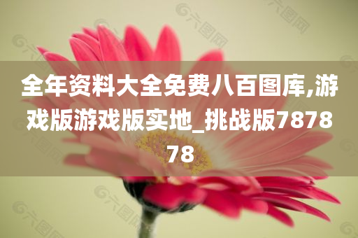 全年资料大全免费八百图库,游戏版游戏版实地_挑战版787878