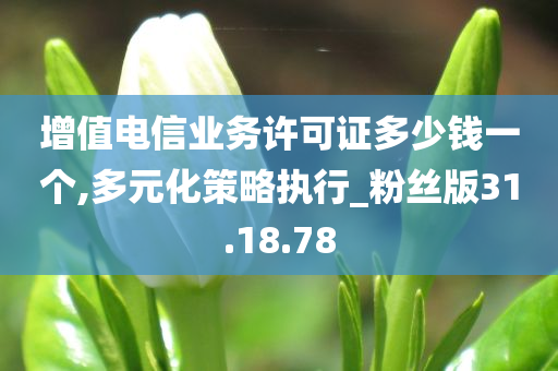 增值电信业务许可证多少钱一个,多元化策略执行_粉丝版31.18.78