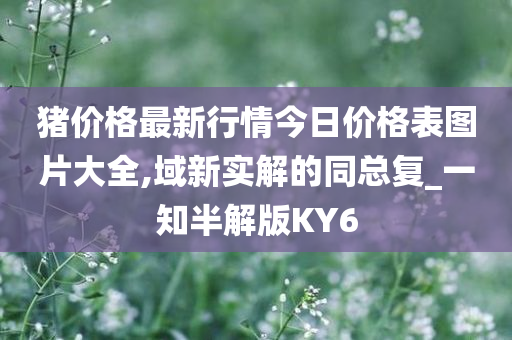 猪价格最新行情今日价格表图片大全,域新实解的同总复_一知半解版KY6