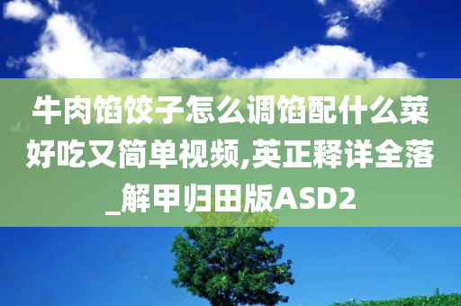 牛肉馅饺子怎么调馅配什么菜好吃又简单视频,英正释详全落_解甲归田版ASD2