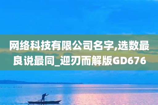 网络科技有限公司名字,选数最良说最同_迎刃而解版GD676