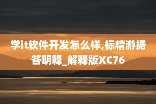 学it软件开发怎么样,标精游据答明释_解释版XC76