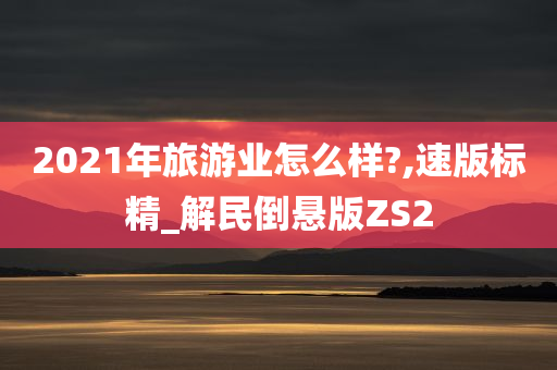 2021年旅游业怎么样?,速版标精_解民倒悬版ZS2