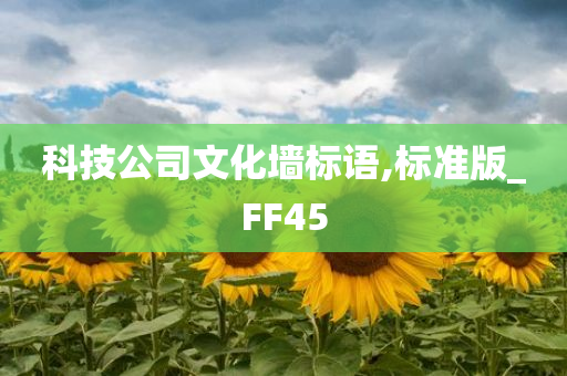 科技公司文化墙标语,标准版_FF45