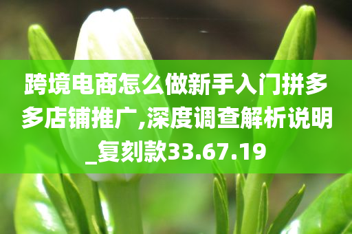 跨境电商怎么做新手入门拼多多店铺推广,深度调查解析说明_复刻款33.67.19