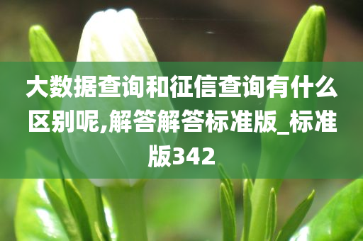 大数据查询和征信查询有什么区别呢,解答解答标准版_标准版342