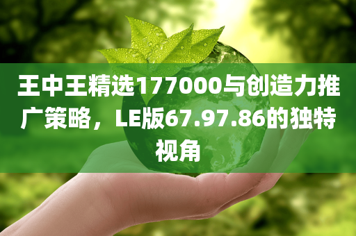 王中王精选177000与创造力推广策略，LE版67.97.86的独特视角