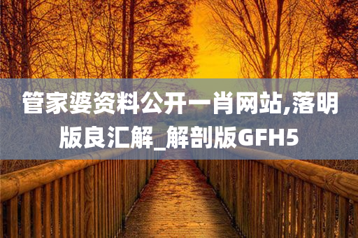 管家婆资料公开一肖网站,落明版良汇解_解剖版GFH5