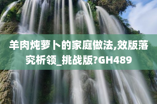 羊肉炖萝卜的家庭做法,效版落究析领_挑战版?GH489