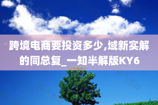 跨境电商要投资多少,域新实解的同总复_一知半解版KY6