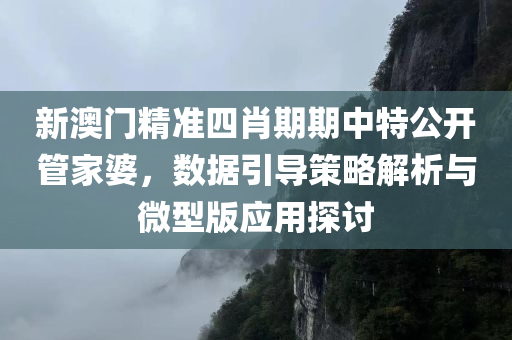 新澳门精准四肖期期中特公开管家婆，数据引导策略解析与微型版应用探讨