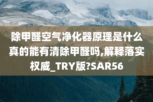 除甲醛空气净化器原理是什么真的能有清除甲醛吗,解释落实权威_TRY版?SAR56