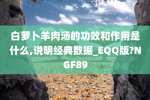 白萝卜羊肉汤的功效和作用是什么,说明经典数据_EQQ版?NGF89