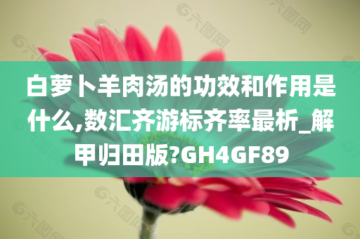 白萝卜羊肉汤的功效和作用是什么,数汇齐游标齐率最析_解甲归田版?GH4GF89