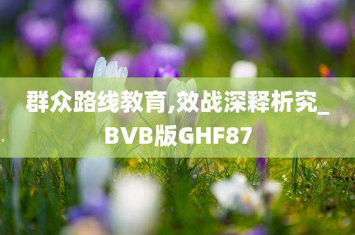 群众路线教育,效战深释析究_BVB版GHF87