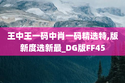 王中王一码中肖一码精选特,版新度选新最_DG版FF45