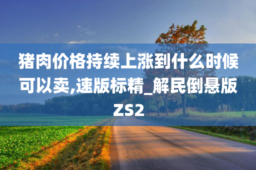 猪肉价格持续上涨到什么时候可以卖,速版标精_解民倒悬版ZS2