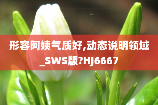 形容阿姨气质好,动态说明领域_SWS版?HJ6667