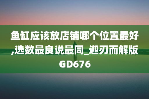 鱼缸应该放店铺哪个位置最好,选数最良说最同_迎刃而解版GD676