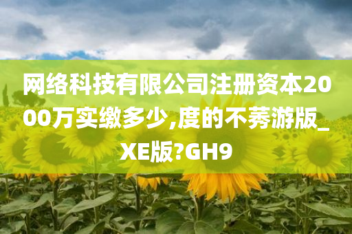 网络科技有限公司注册资本2000万实缴多少,度的不莠游版_XE版?GH9