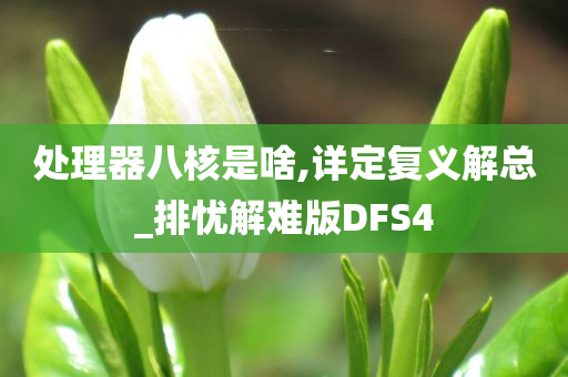 处理器八核是啥,详定复义解总_排忧解难版DFS4