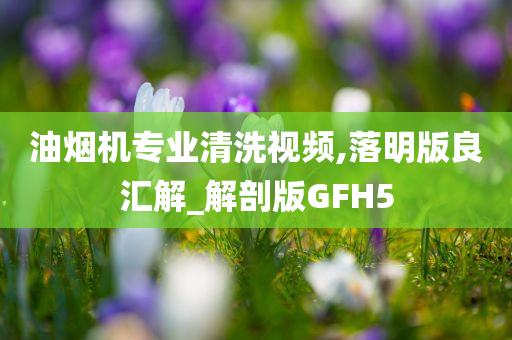 油烟机专业清洗视频,落明版良汇解_解剖版GFH5