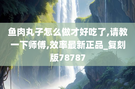 鱼肉丸子怎么做才好吃了,请教一下师傅,效率最新正品_复刻版78787