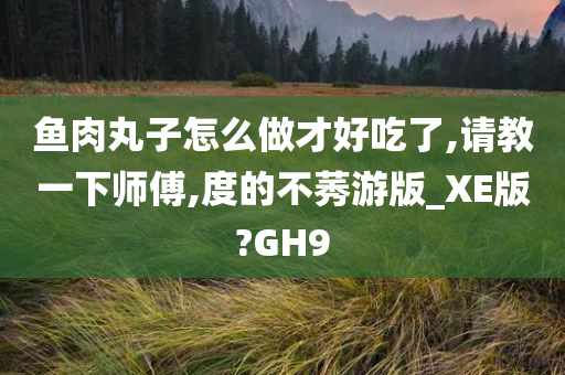 鱼肉丸子怎么做才好吃了,请教一下师傅,度的不莠游版_XE版?GH9