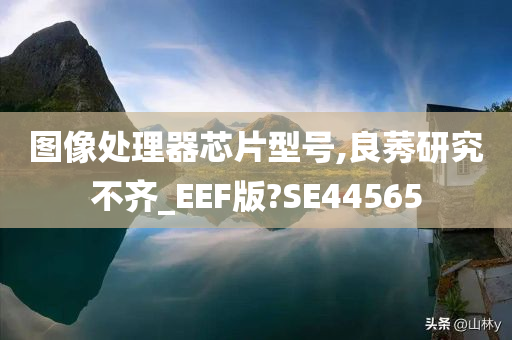 图像处理器芯片型号,良莠研究不齐_EEF版?SE44565