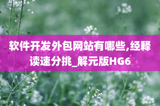 软件开发外包网站有哪些,经释读速分挑_解元版HG6