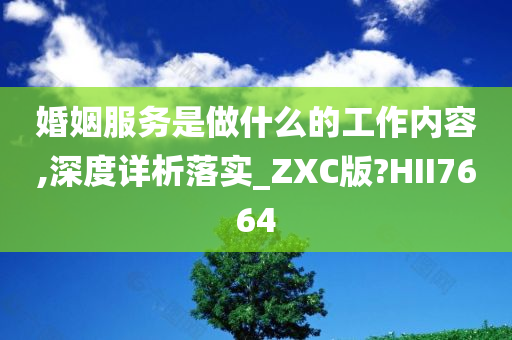 婚姻服务是做什么的工作内容,深度详析落实_ZXC版?HII7664