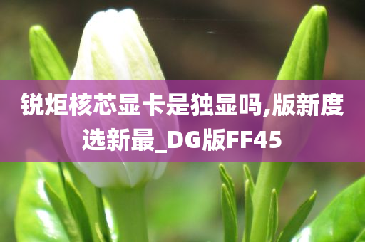 锐炬核芯显卡是独显吗,版新度选新最_DG版FF45