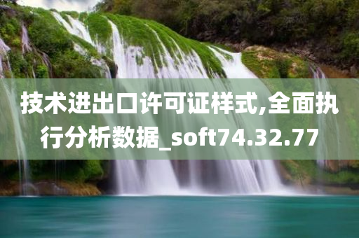 技术进出口许可证样式,全面执行分析数据_soft74.32.77