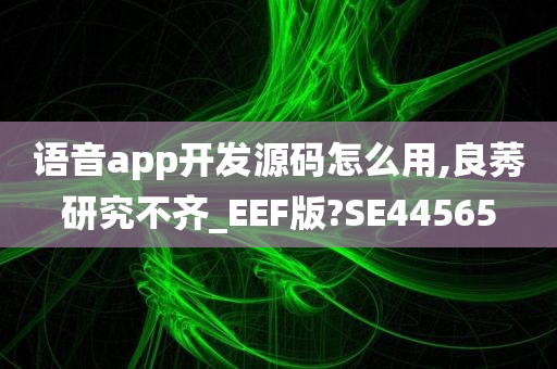 语音app开发源码怎么用,良莠研究不齐_EEF版?SE44565