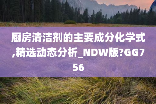 厨房清洁剂的主要成分化学式,精选动态分析_NDW版?GG756