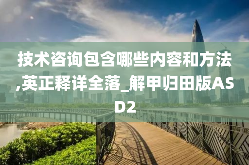 技术咨询包含哪些内容和方法,英正释详全落_解甲归田版ASD2