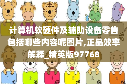 计算机软硬件及辅助设备零售包括哪些内容呢图片,正品效率解释_精英版97768