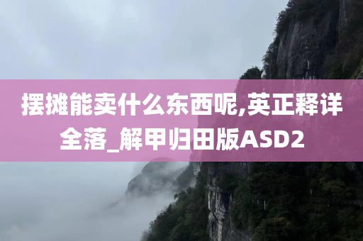 摆摊能卖什么东西呢,英正释详全落_解甲归田版ASD2