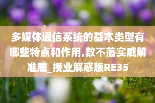 多媒体通信系统的基本类型有哪些特点和作用,数不落实威解准威_授业解惑版RE35