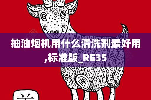 抽油烟机用什么清洗剂最好用,标准版_RE35