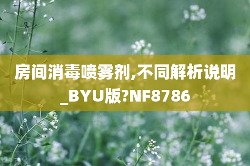 房间消毒喷雾剂,不同解析说明_BYU版?NF8786