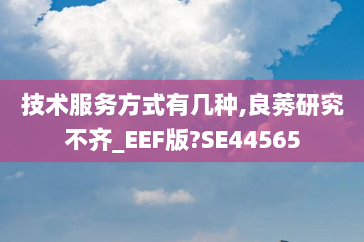 技术服务方式有几种,良莠研究不齐_EEF版?SE44565