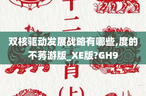 双核驱动发展战略有哪些,度的不莠游版_XE版?GH9