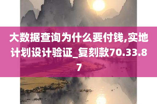 大数据查询为什么要付钱,实地计划设计验证_复刻款70.33.87