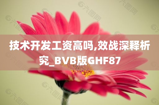 技术开发工资高吗,效战深释析究_BVB版GHF87