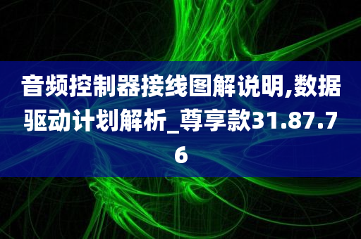 音频控制器接线图解说明,数据驱动计划解析_尊享款31.87.76