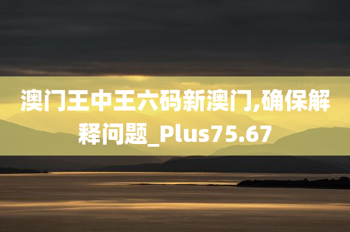 澳门王中王六码新澳门,确保解释问题_Plus75.67