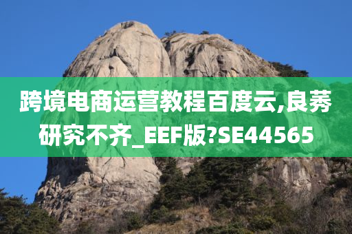 跨境电商运营教程百度云,良莠研究不齐_EEF版?SE44565